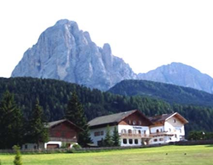 selva2